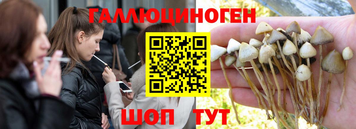 Галлюциногенные грибы Magic Shrooms  Вход с VPN  Тимашёвск 